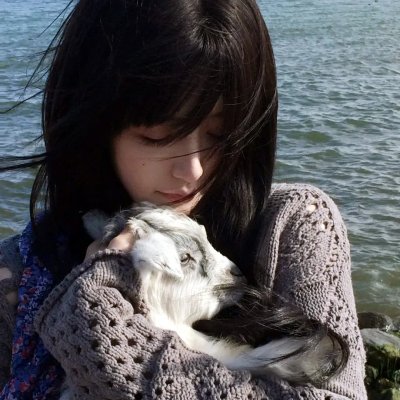 蚊子海岸