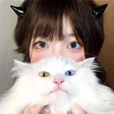 逃亡机运 在线观看